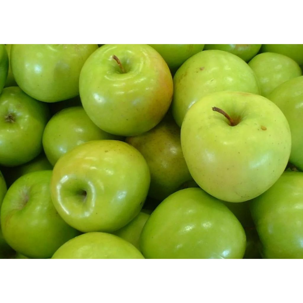 Mele Granny Smith - CA' BARLETI