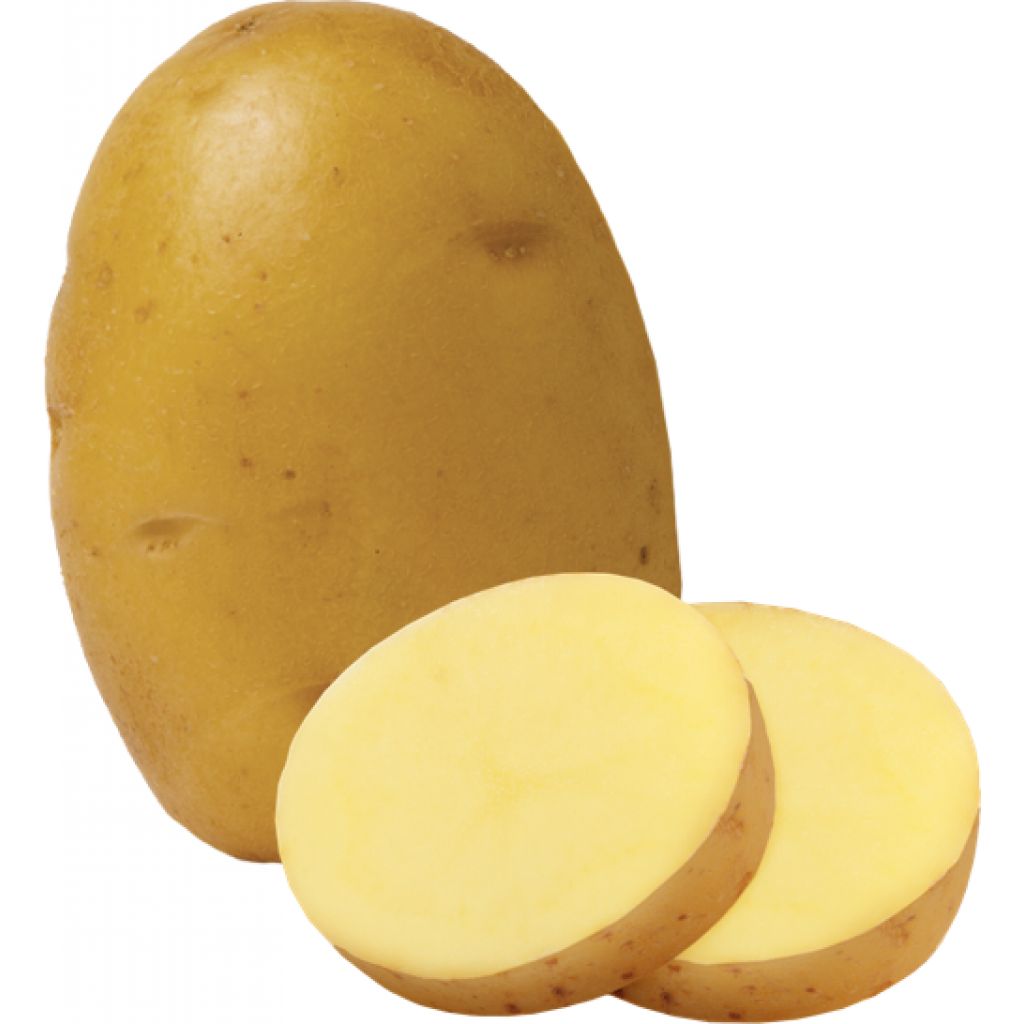 Patate variet&agrave; Primura 1kg - IL CHIUSETTO