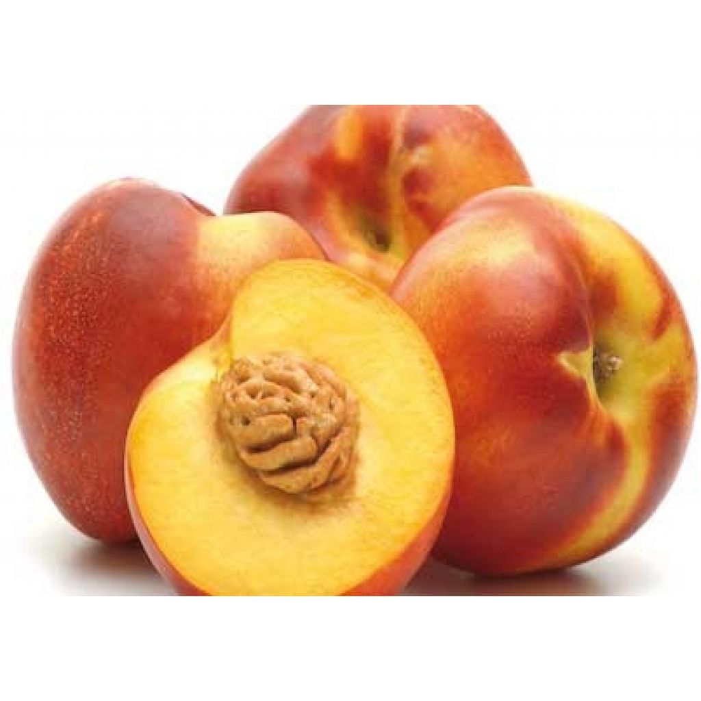 Pesche nettarine pasta gialla - POGGI MILENA