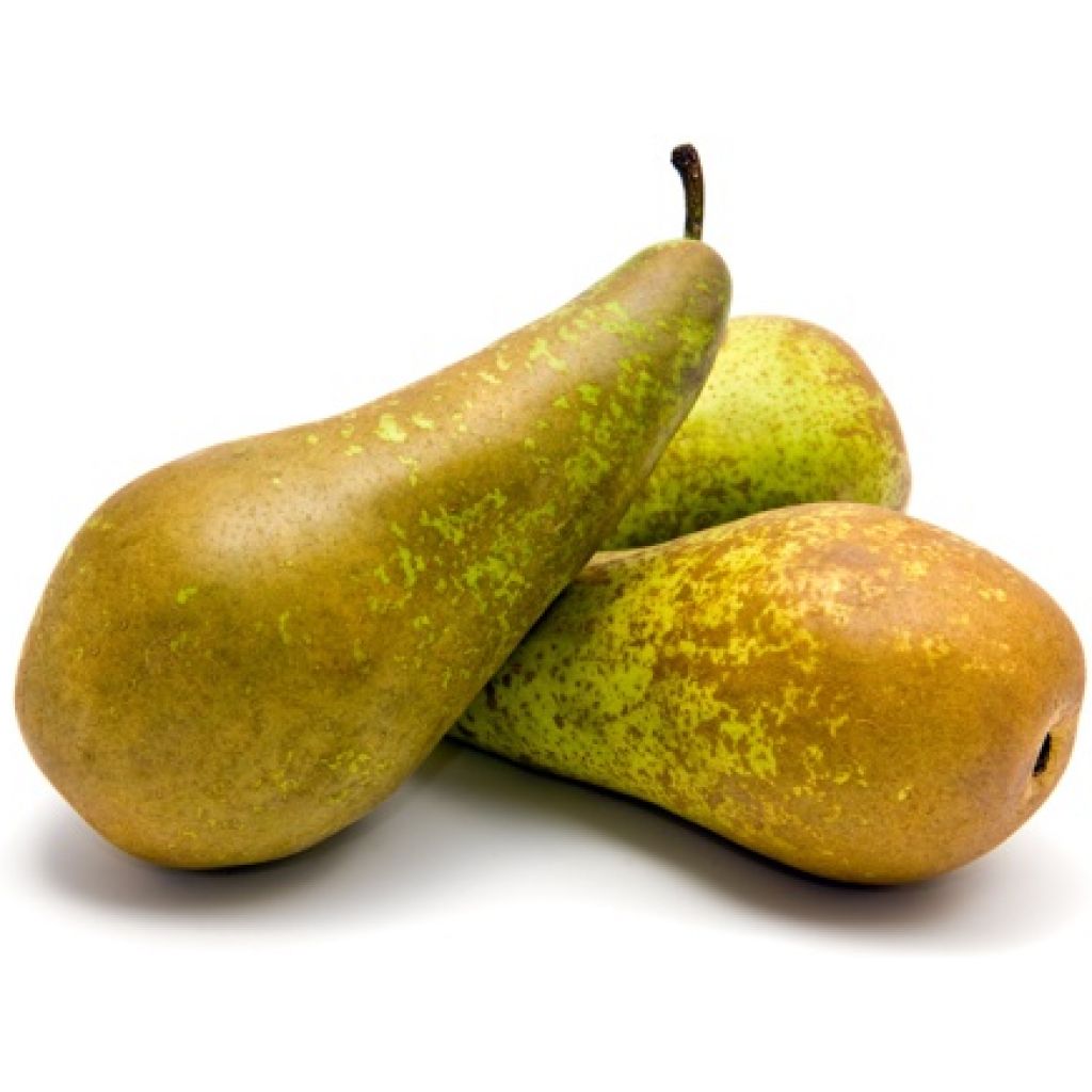 PERE CONFERENCE 1kg - RIVALTA