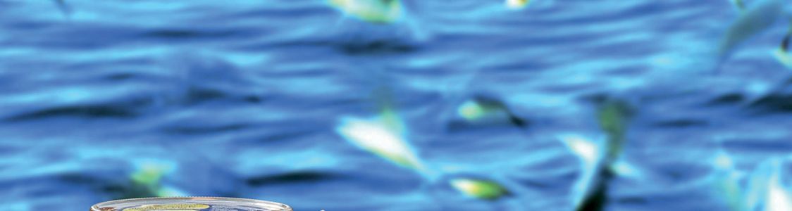 Tosi & Raggini Bont&agrave; di Mare