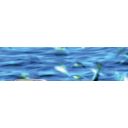 Tosi & Raggini Bont&agrave; di Mare