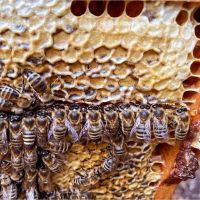 a25c1909e5aa40c19328c1f2d4a65a89