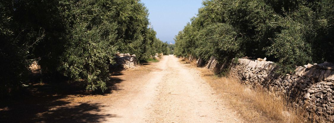 Aproli Bari Societ&agrave; Cooperativa Agricola