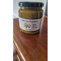 immagine_whatsapp_2025-04-01_ore_10.08.16_efbb108f