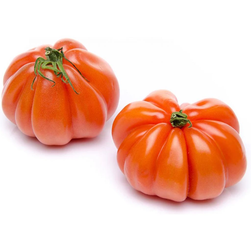 Pomodori cuore di bue