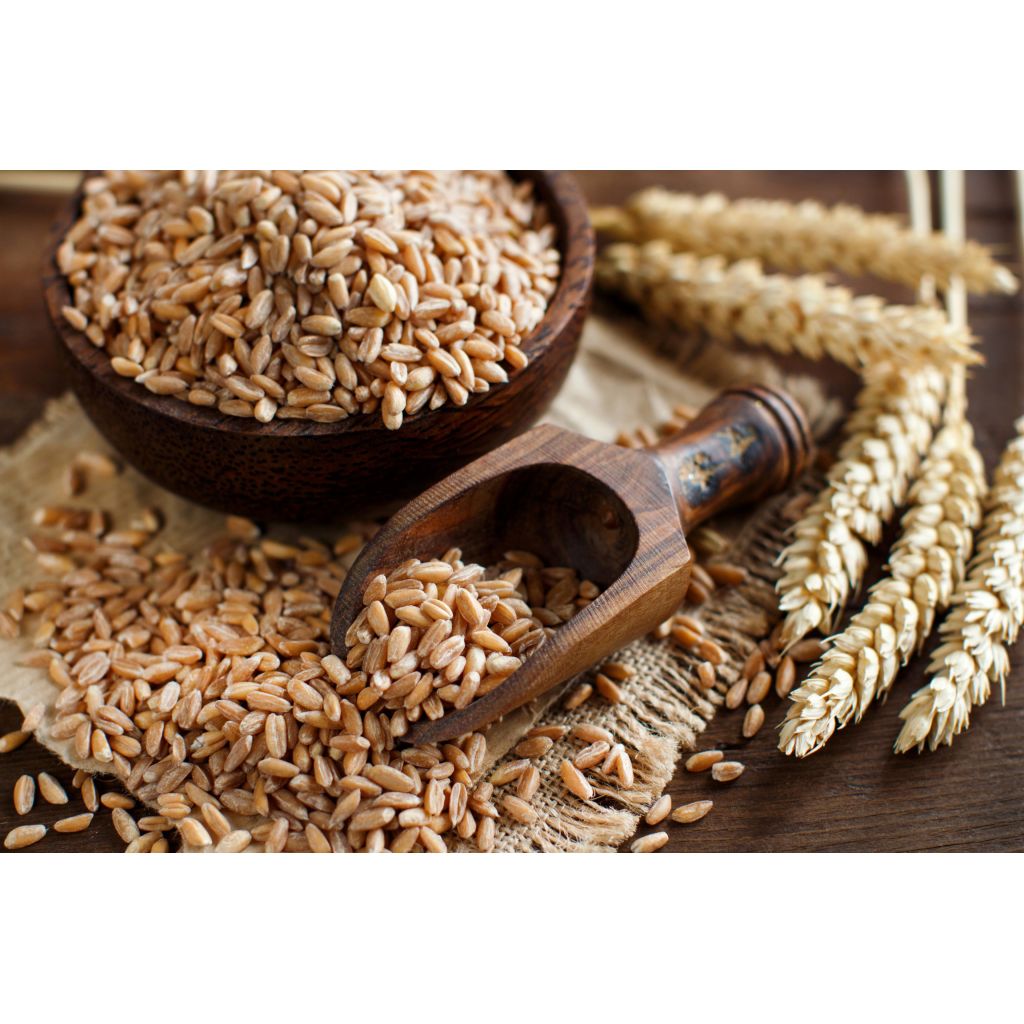 Farro 1 kg