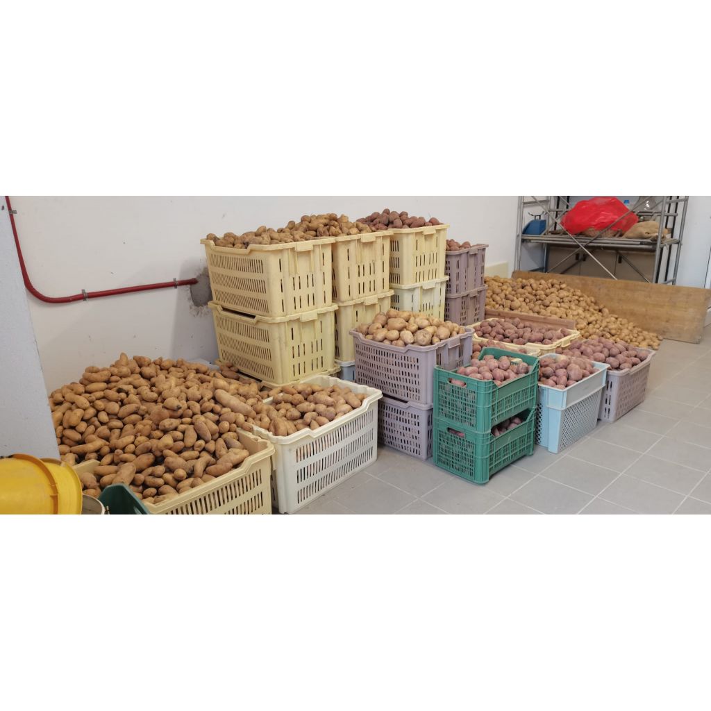 Patate gialle a pasta bianca 1 kg