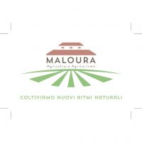 maloura visita 0220.pdf