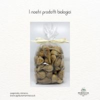 376730374_806022164860830_2212274492321911768_n