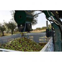 394529438_830412412421805_962931445787508231_n