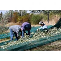 394563681_830413135755066_5783840742176173493_n