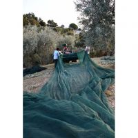 394583661_830414525754927_1801141045320067615_n