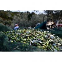 394619830_830414329088280_820668053461278002_n