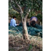 394633455_830413989088314_4490027716468687211_n