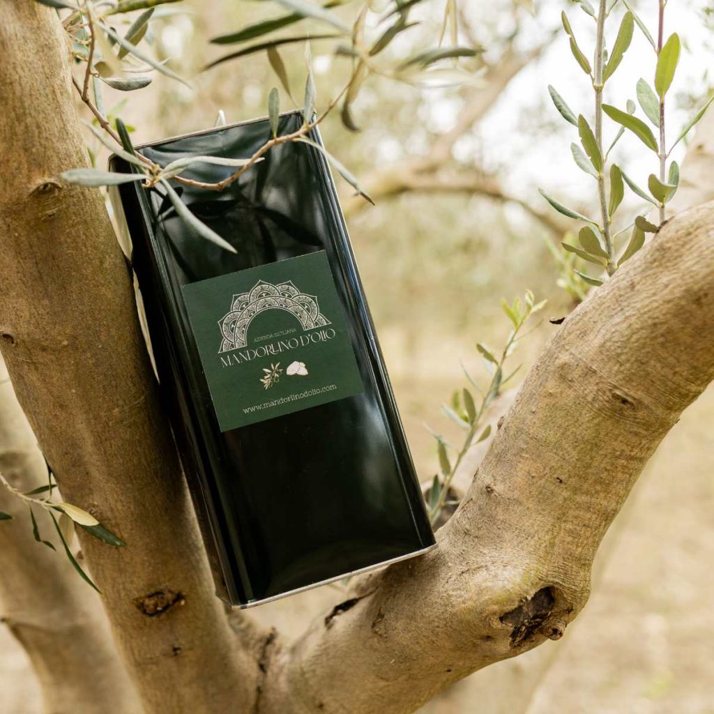 Olio extravergine Siciliano Monocultivar Nocellara