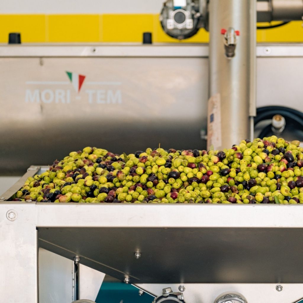 Azienda Agricola Liberace