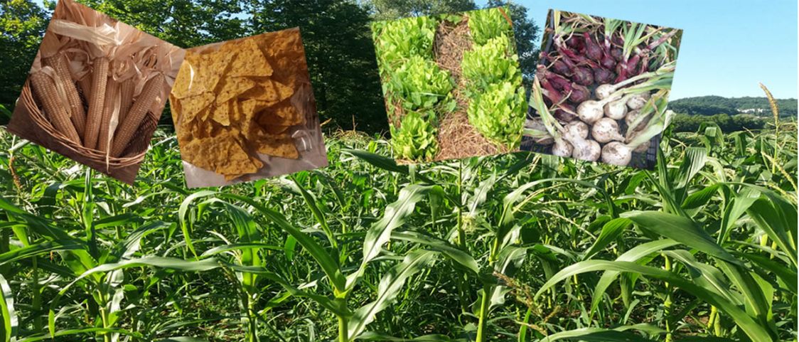 Azienda Agricola Bernardi Elena