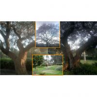 foto combinate sito ii 1_page0003