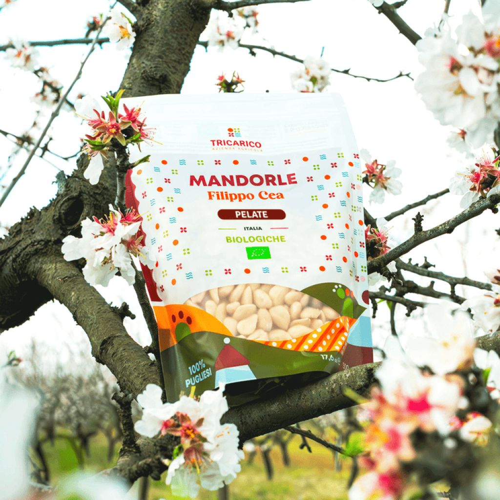 Mandorle Bio Filippo Cea pelate &ndash; CARTONE 18 x Busta 500 g