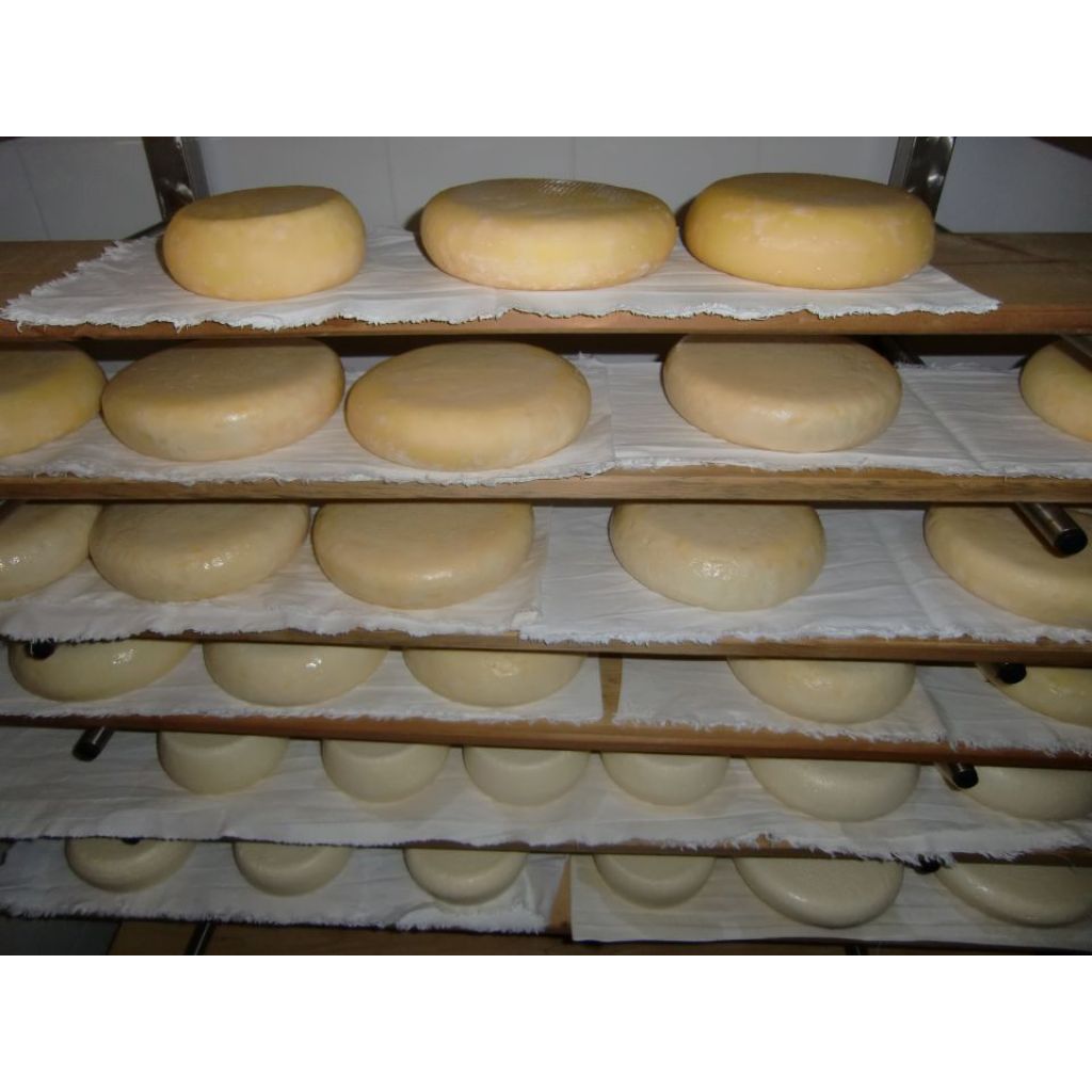 Caciotta della Maja- il grado di stagionatura varia in base alla quantit&agrave; di latte prdotto e alla domanda