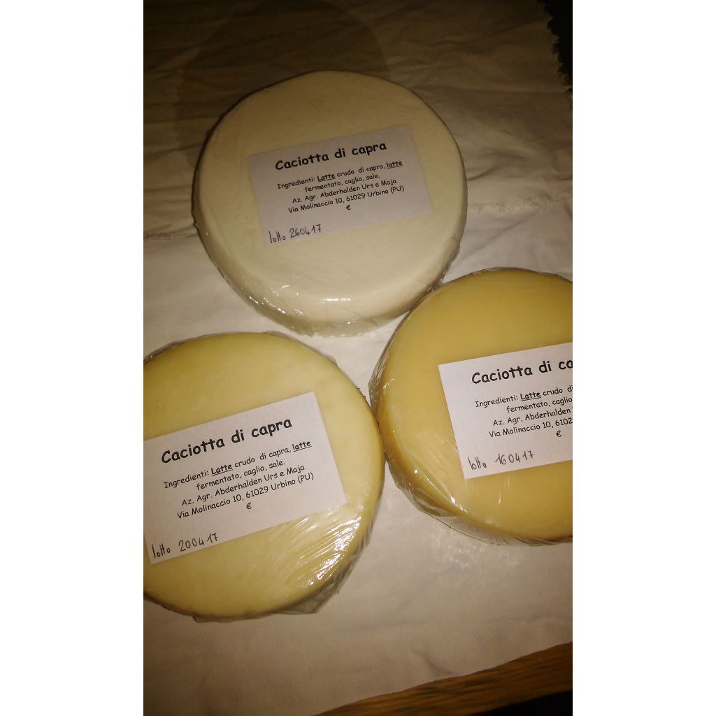 Caciotta di capra- il grado di stagionatura varia in base alla quantit&agrave; di latte prodotto e alla domanda