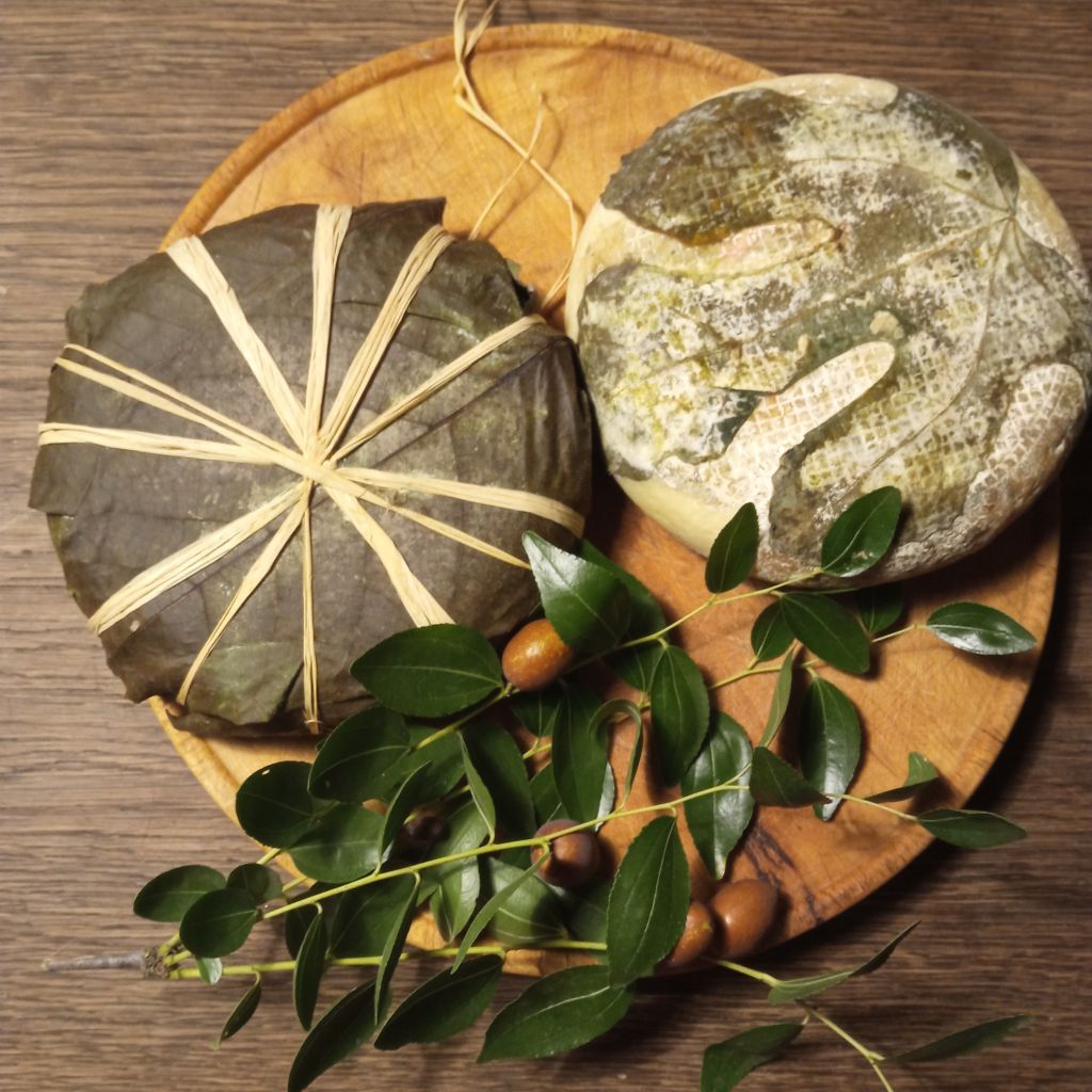 Caciotta di Maja - stagionate in foglie noce