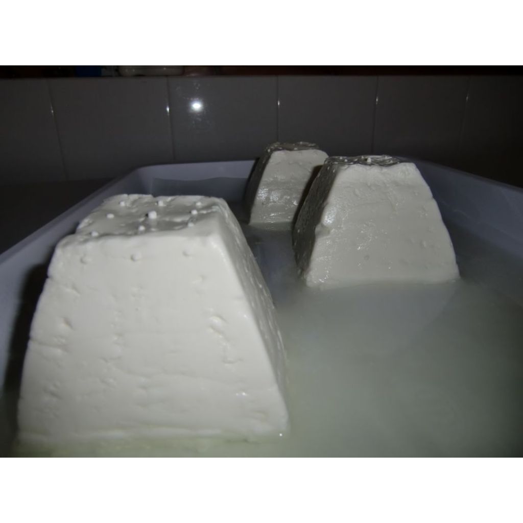 Formaggi caprini freschi