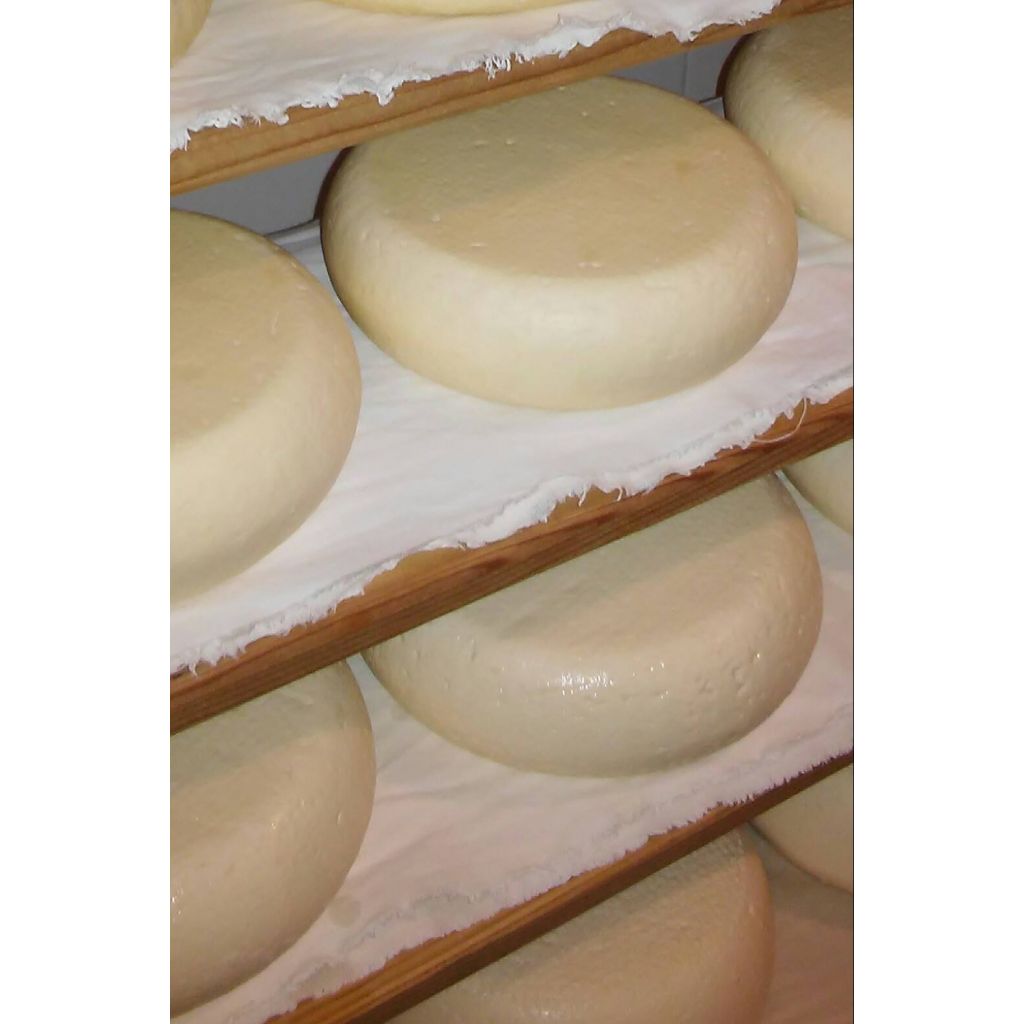 Caciotta di Maja- primo sale - peso variabile circa 1 Kg