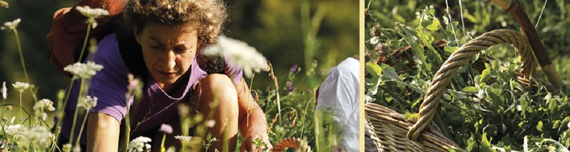 Azienda agricola La Giustrela