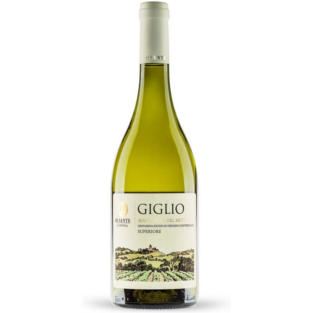 Giglio_bianchello_del_metauro_doc