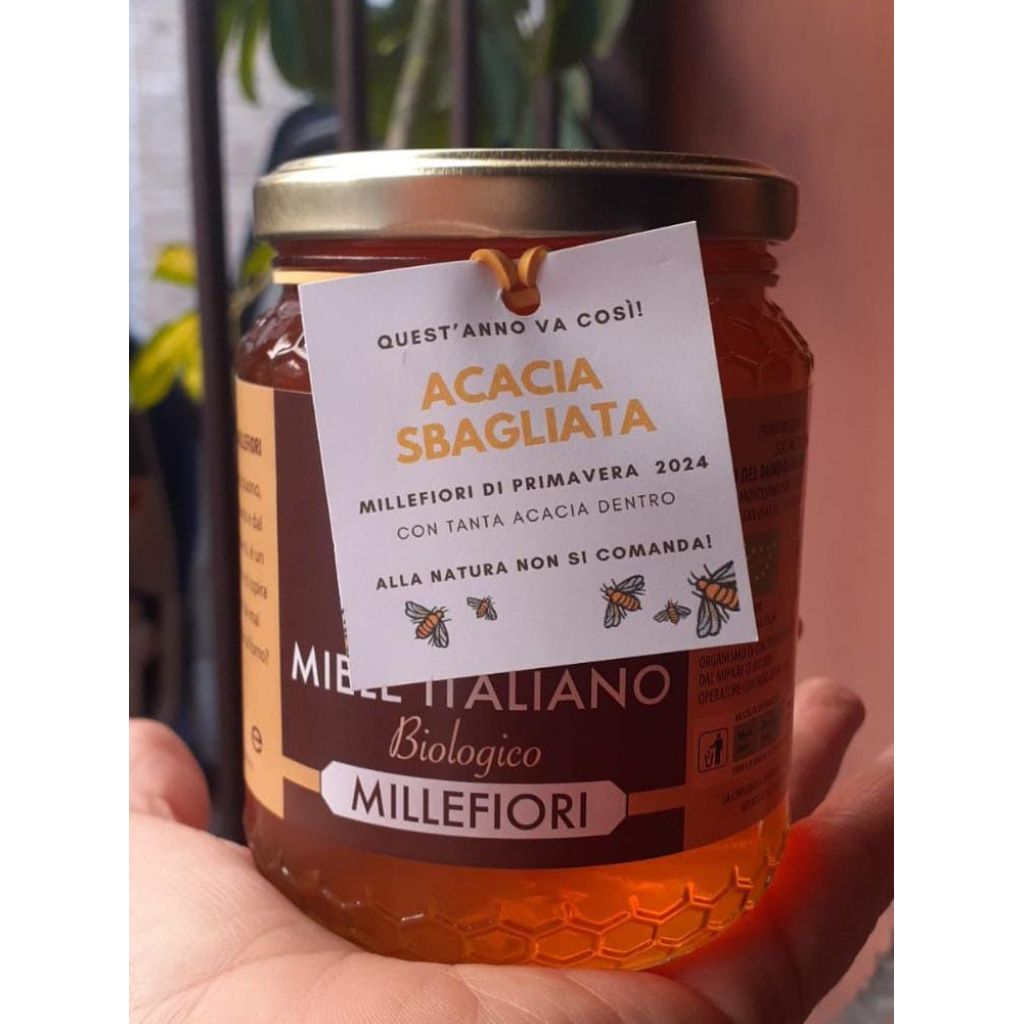 Miele Millefiori Primaverile Bio (250 gr) - Acacia Sbagliata