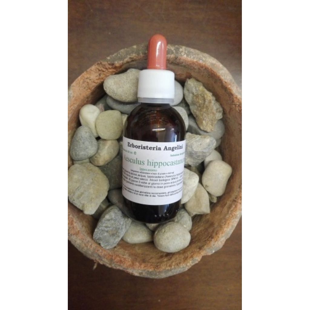 Aesculus Hippocastanum 50ml