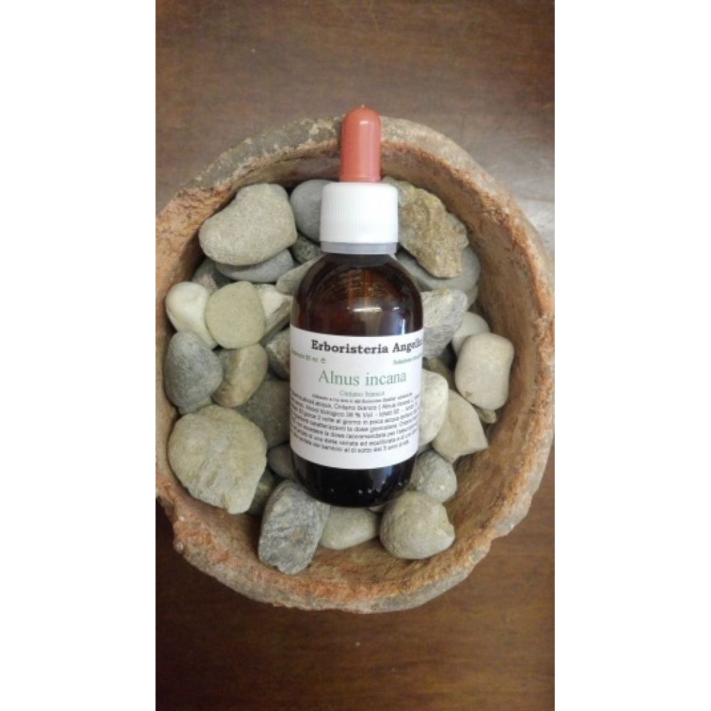 Alnus glutinosa 50ml