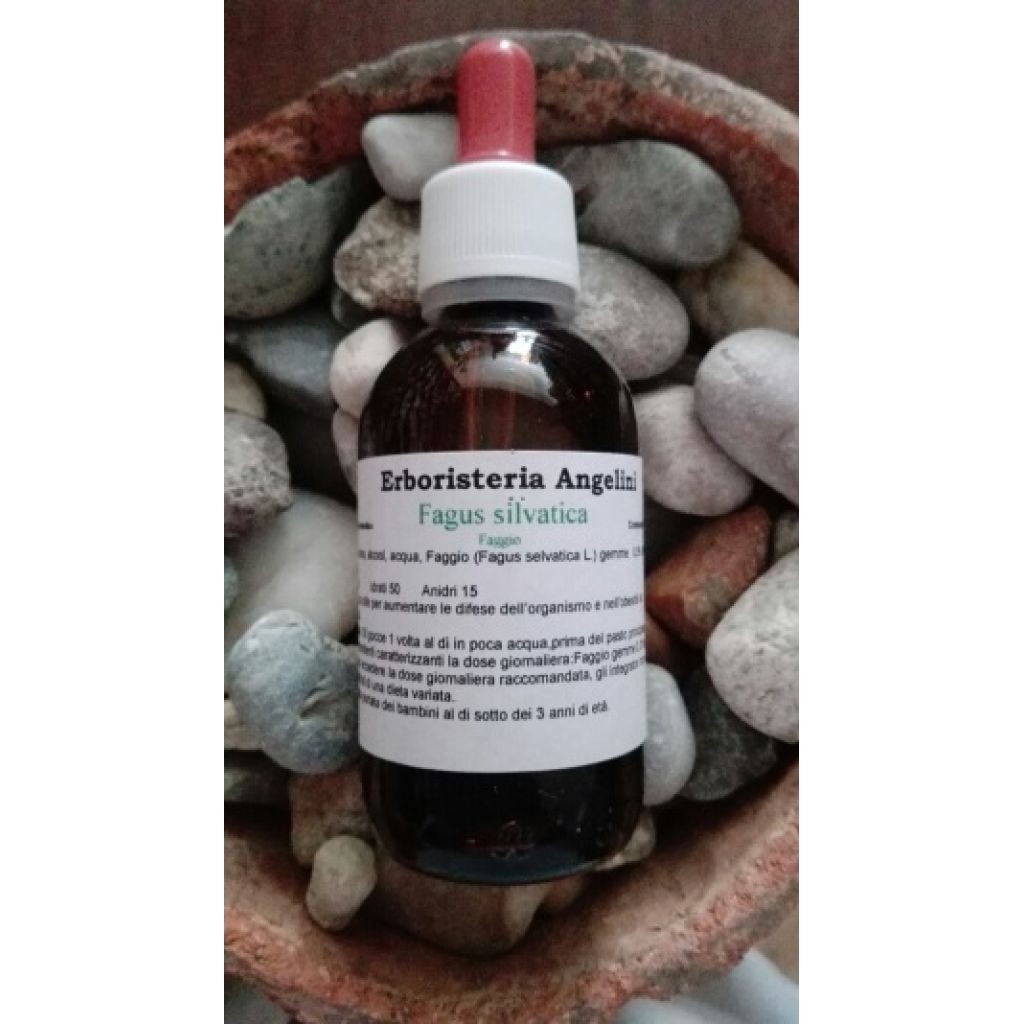 Fagus silvatica 50ml