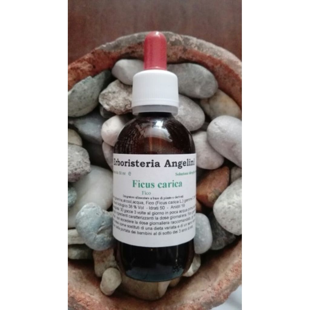 Ficus carica 50ml