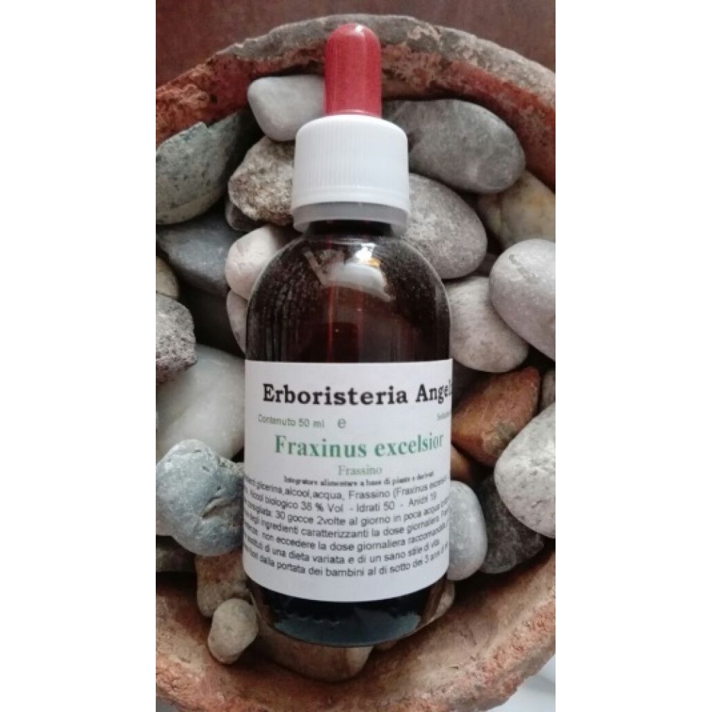 Fraxinus excelsior 50ml