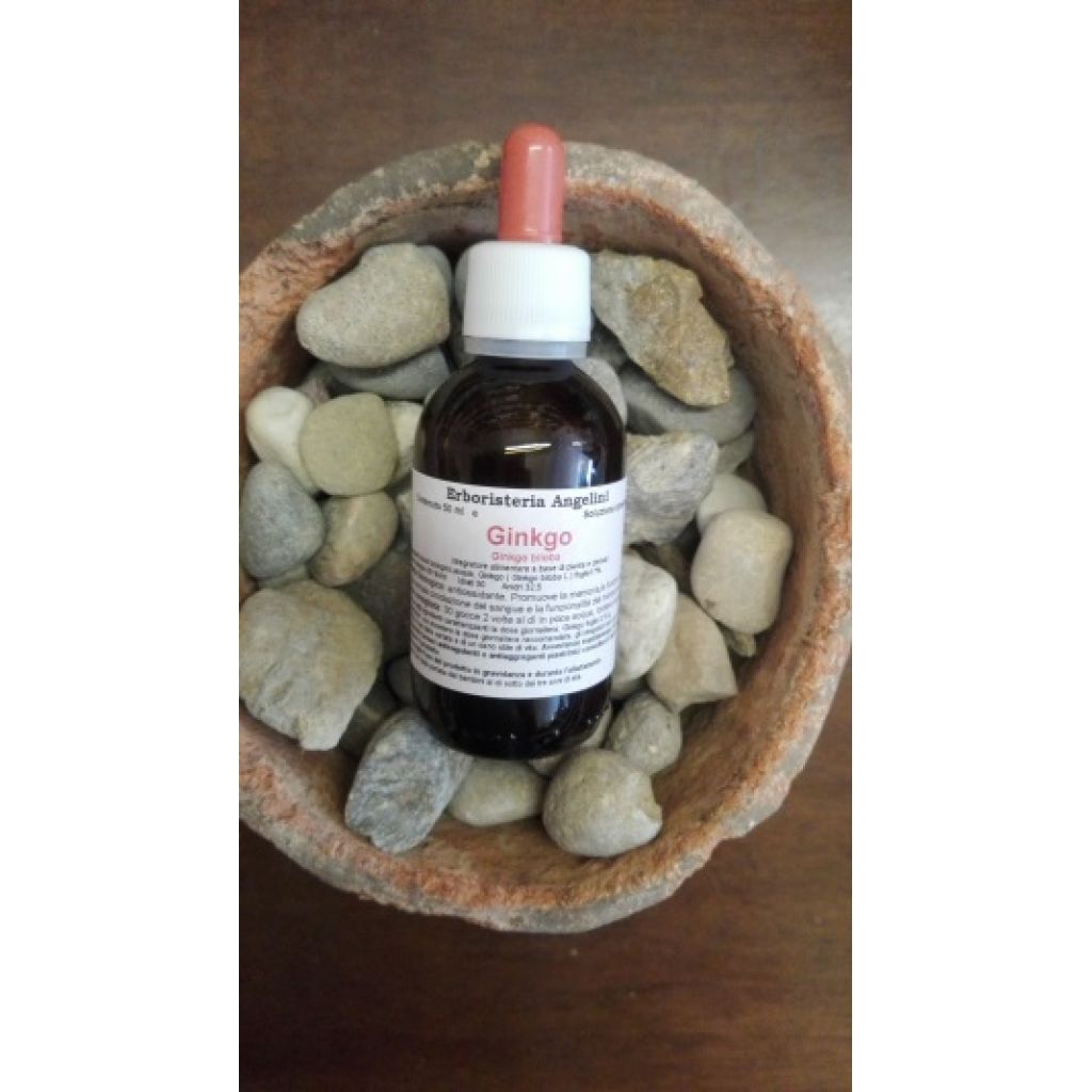 GinKgo 50ml