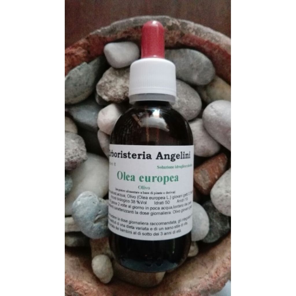 Olea europea 50ml