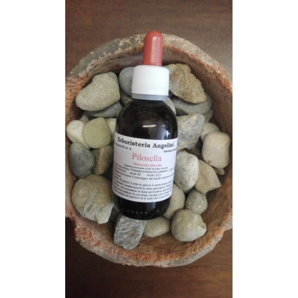Pilosella 50ml