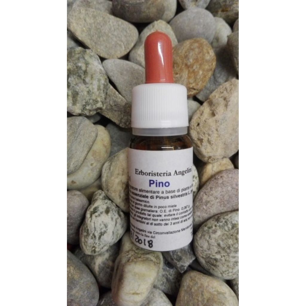 Pino silvestre O.E. 10ml
