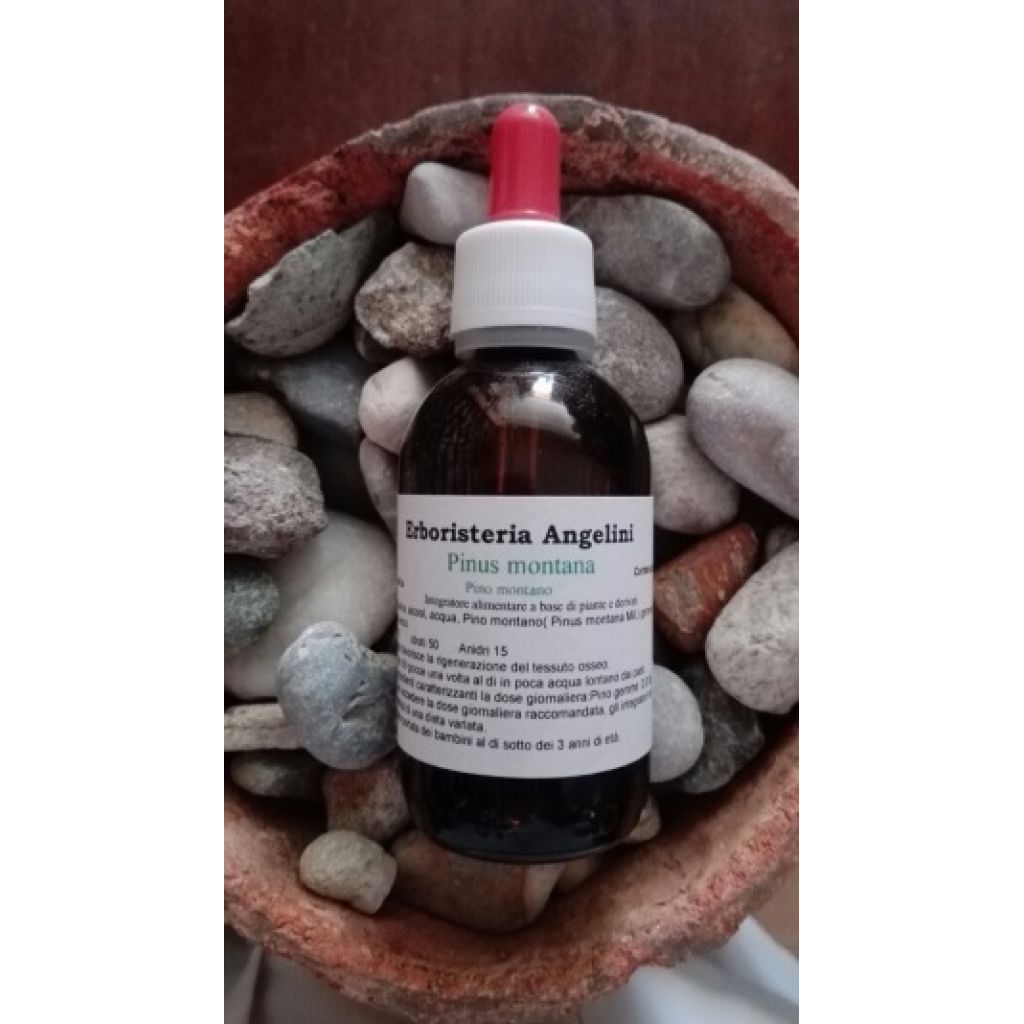 Pinus montana 50ml