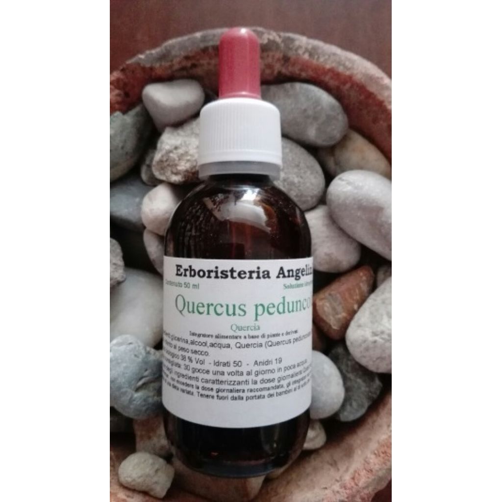 Quercus peduncolata 50ml