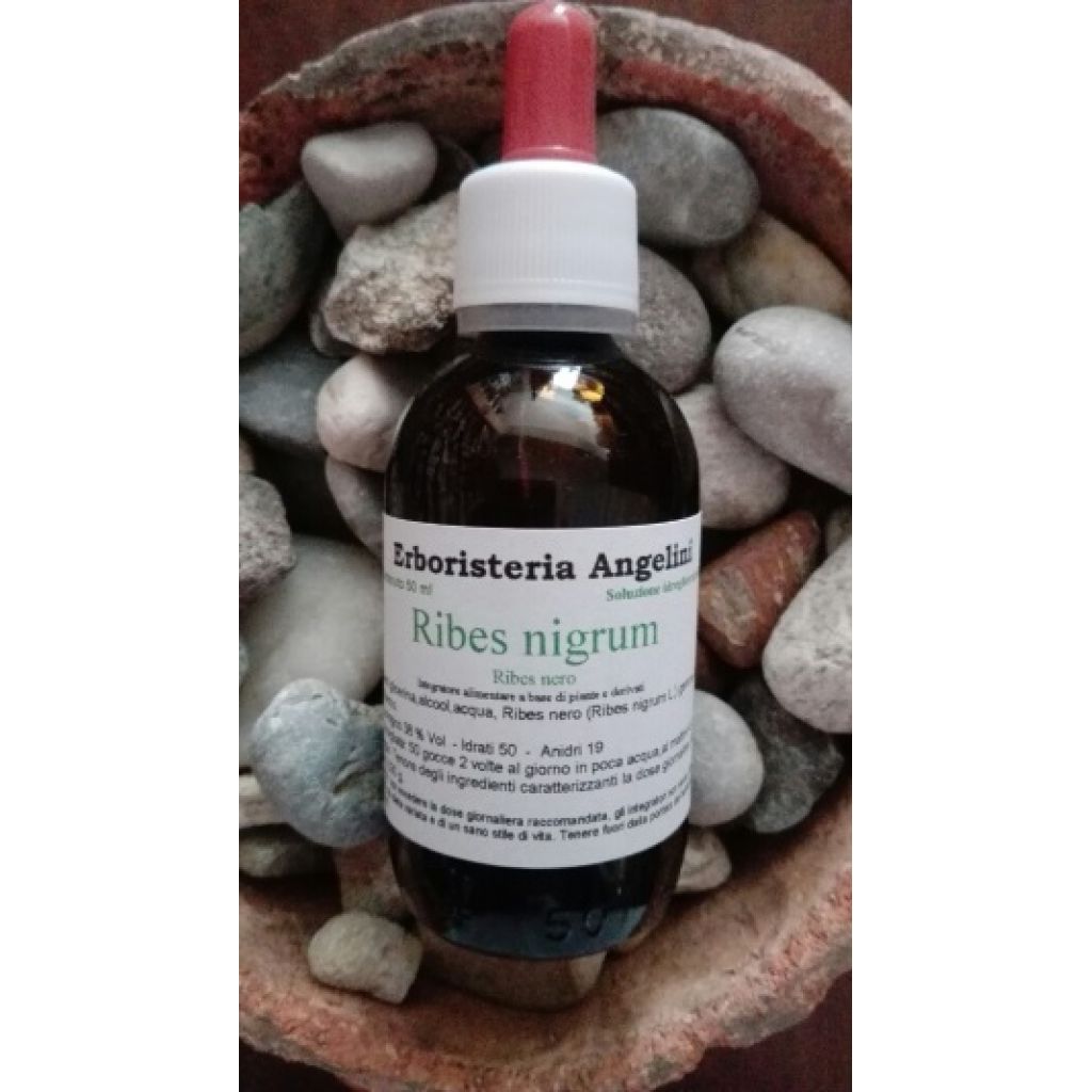 Ribes nigrum 50ml