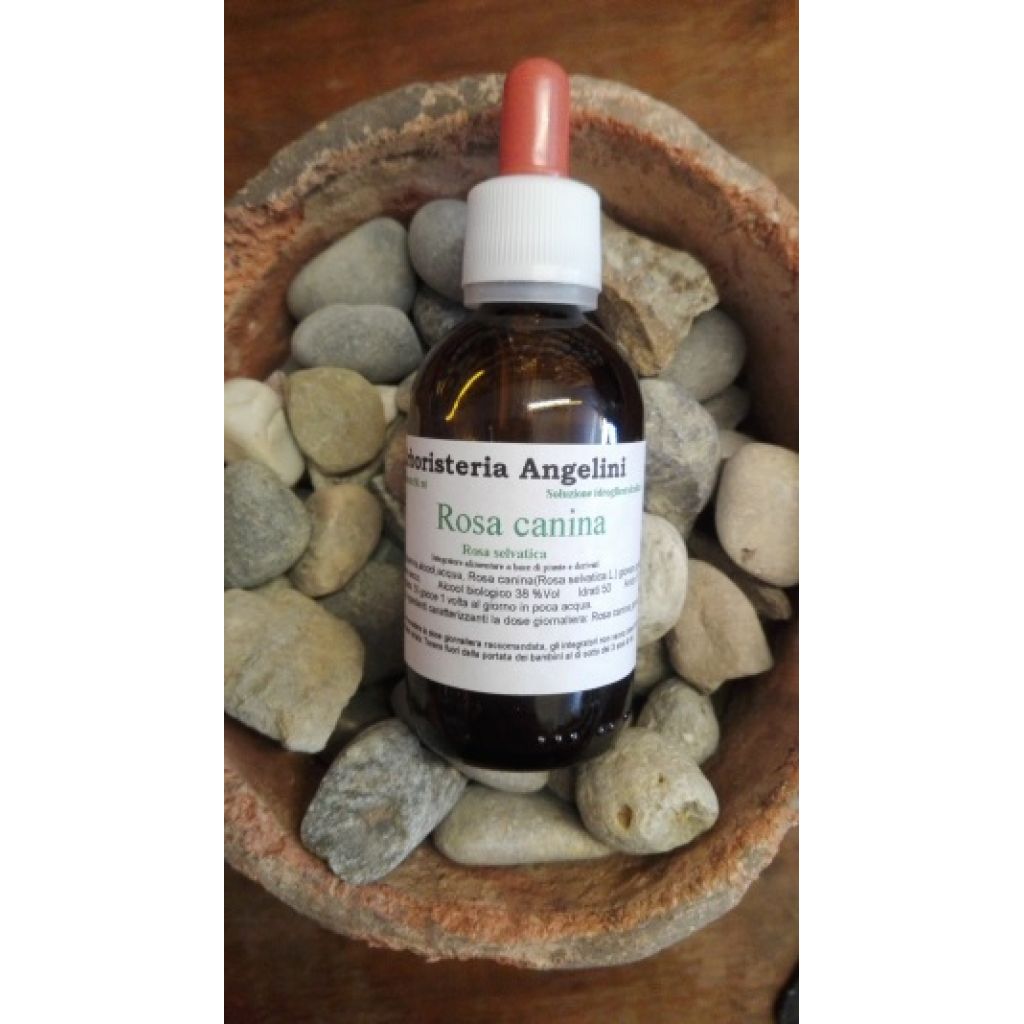 Rosa canina 50ml