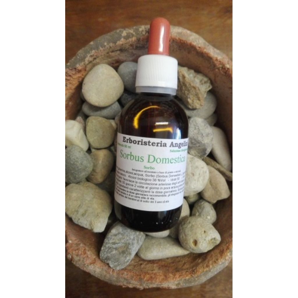Sorbus domestica 50ml