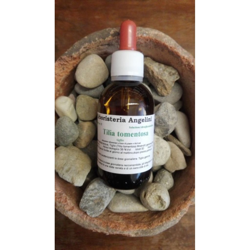 Tilia tormentosa 50ml