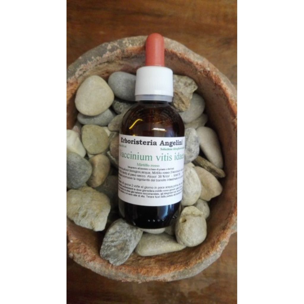 Vaccinium vitis idaea