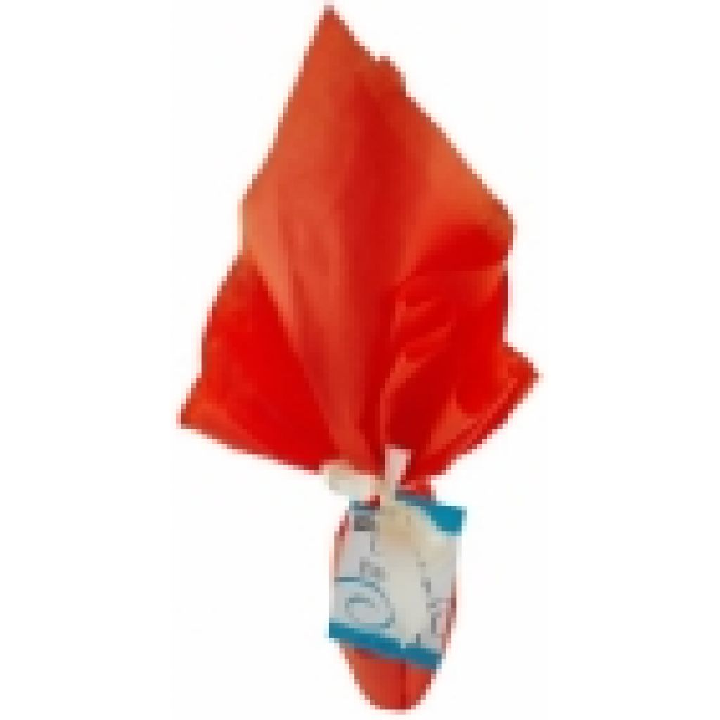 Uovo di cioccolato fondente BIO 270g