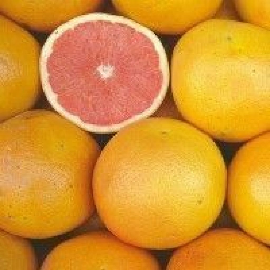 Pompelmo rosa - confezioni da 5 Kg